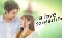 A Love So Beautiful Episode 1 – 2 Subtitle Indonesia