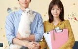 Because This is My First Life Episode 1-16 End Subtitle Indonesia